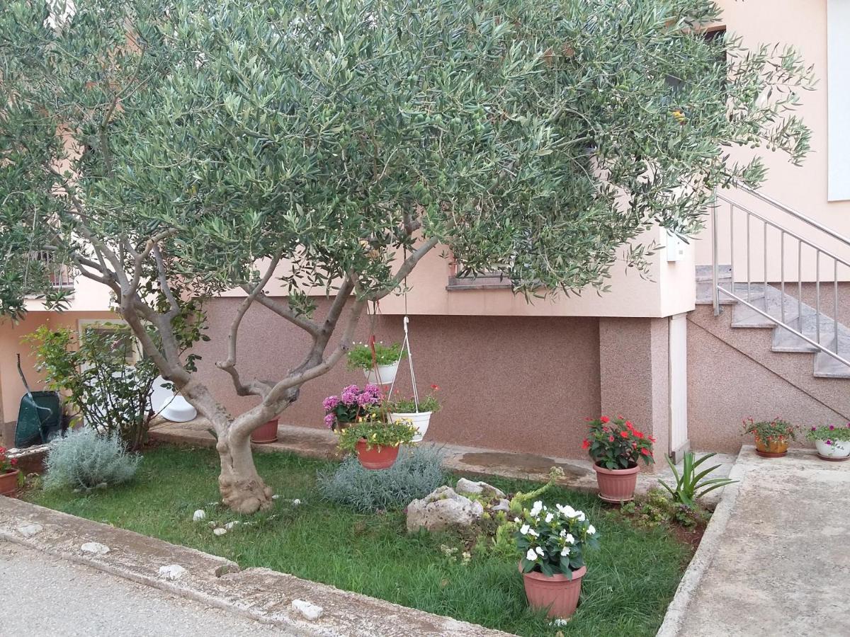 Apartments Ivan Zadar Exterior photo